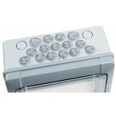 Coffret Plexo 2x12 modules avec embouts à perf. directe - IP 65 - IK 09 - Gris
