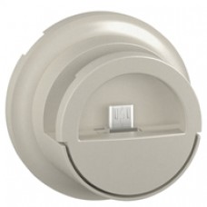 Enjoliveur Céliane - prise double pour chargeur USB version dock - titane