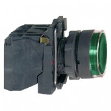 Bouton-poussoir lumineux vert Ø 22-à impulsion affleurant-250 V-1O+1F
