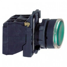 Bouton-poussoir lumineux vert Ø 22-à impulsion affleurant-240 V-1O+1F