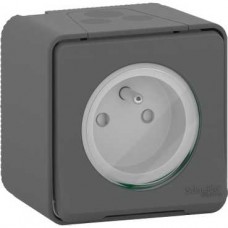 Prise de courant 2P+T à vis - saillie - IP55 - IK08 - gris
