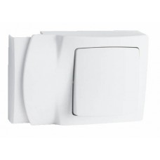 Cadre app. saillie 1 poste - pose le long des moulures DLPlus ép. 12,5 - blanc