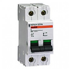Interrupteur-sectionneur I-2P-125A