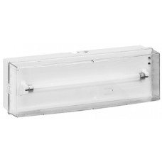 BAES évacuation - fluorescence permanent - SATI - IP 43 - IK 07