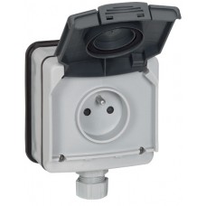 Prise 2P+T à volet - 16 A - 250 V~ - Plexo 66 monobloc gris - IP66/IK08