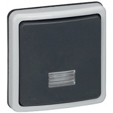 Interrupteur va-et-vient à voyant 10 A - Plexo 66 composable gris - IP66/IK08