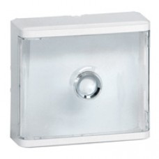 Habillage + porte transparente pour platines de branchement DRIVIA
