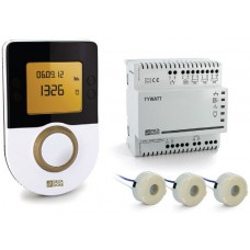 Indicateur de consommation d'énergie TYWATT 1000