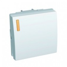 Poussoir lumineux 16A