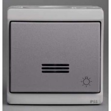 Bouton-pouss. lumin. avec picto lumière - gris - en saillie - IK07 IP55