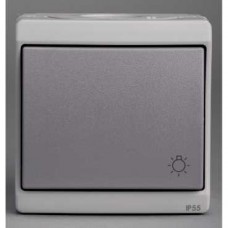 Bouton-poussoir avec picto lumiere - gris - en saillie - IK07 IP55