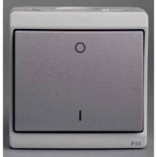 Interrupteur bipolaire - gris - en saillie - IK07 IP55