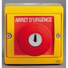 Bouton coup de poing impulsion - clé 455 - gris en saillie - IK07 IP55 