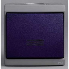Interrupteur bipolaire - gris/bleu - en saillie - IK08 IP55