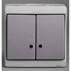 Double bouton-poussoir lumineux - gris - en saillie - IK07 IP55
