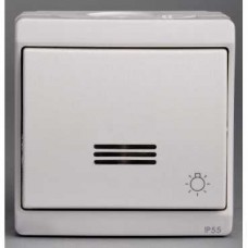 Bouton-pouss. lumin. avec picto lumière - blanc en saillie - IK07 IP55 