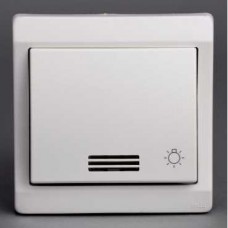 Bouton-pouss. lumin. avec picto lumineux - blanc - encastré - IP44 IK08 