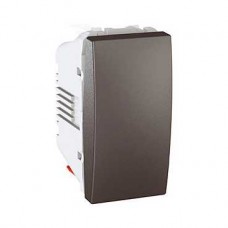 Poussoir 10A 250V CA 1 m Graphite