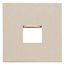 Façade RJ 45 simple satin champagne
