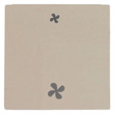 Façade interrupteur VMC satin champagne