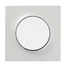 Plaque gris Pierre 1 poste