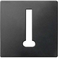 Enjoliveur pour prise téléphone 8 pôles anthracite