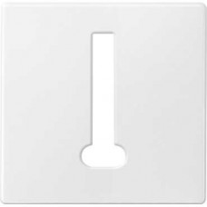 Plaque centrale pour prise blanc polaire