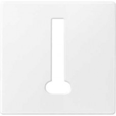 Plaque centrale pour prise blanc actif