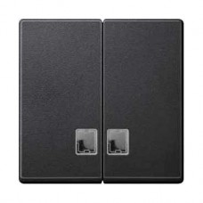 Enjoliveur pour interrupteur double allumage à fenêtre pour symbole anthracite