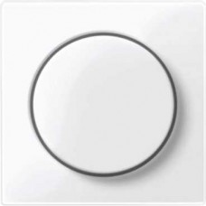 Plaque centrale blanc actif brillant