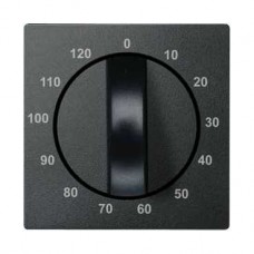 Enjoliveur pour mécanisme de minuterie 120 min anthracite