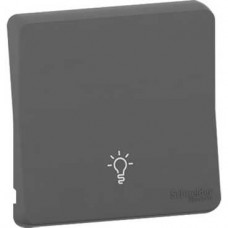 Enjoliveur avec symbôle lumière - IP55 - IK08 - gris
