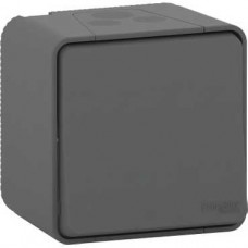 Interrupteur bipolaire - saillie - IP55 - IK08 connex auto - gris