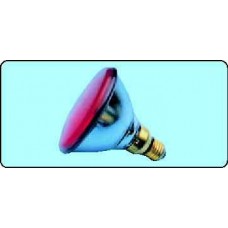 PAR38 123x136 24V 120W NSP