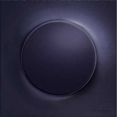 Plaque Anthracite 1 poste