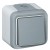 Va-et-vient Prog Plexo complet saillie gris - 10 AX