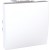 Poussoir 10 A 250 V CA 2M Blanc
