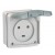 Socle saillie étanche Plexo 20 A - 2P+T -IP55-IK08- à volet - 84x77 - gris