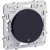 Poussoir lumineux Anthracite, 10 A, à vis, LED bleu 0,15 mA localisation